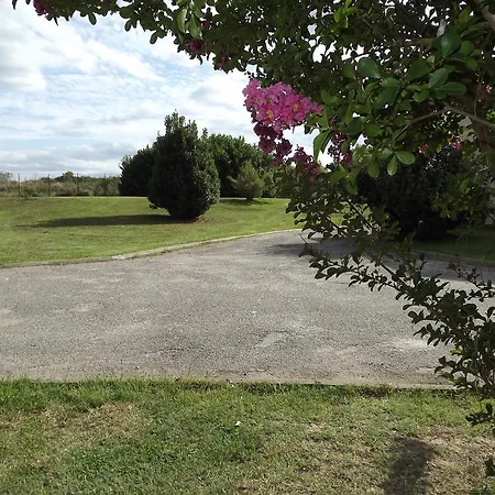 מלון - Restaurant Du - Agen Boé